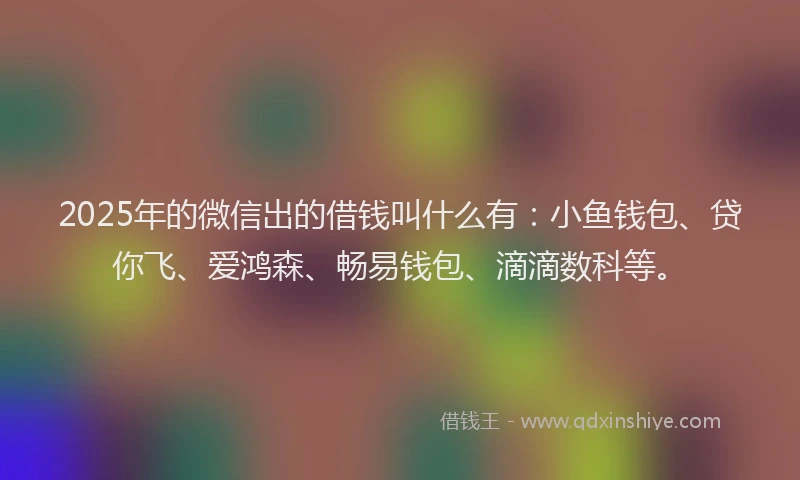 2025年的微信出的借钱叫什么有：小鱼钱包、贷你飞、爱鸿森、畅易钱包、滴滴数科等。