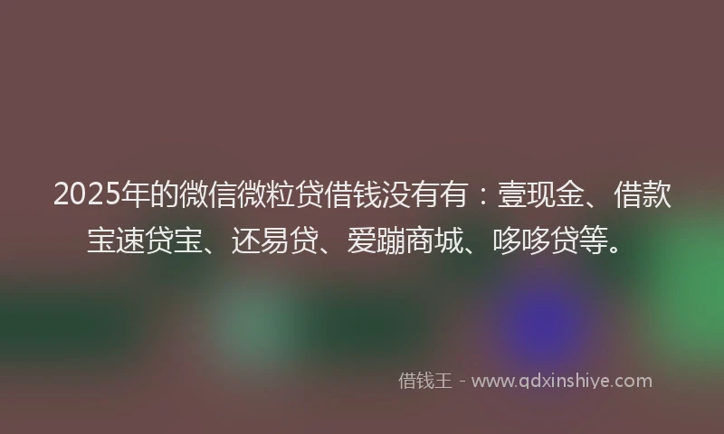 2025年的微信微粒贷借钱没有有：壹现金、借款宝速贷宝、还易贷、爱蹦商城、哆哆贷等。