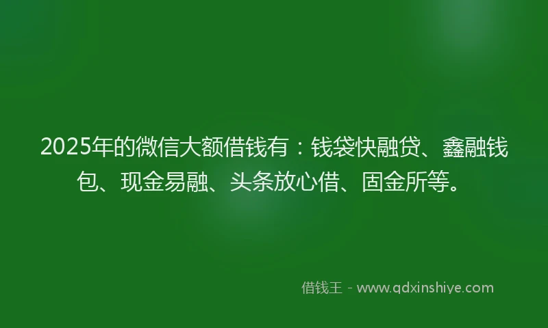 2025年的微信大额借钱有：钱袋快融贷、鑫融钱包、现金易融、头条放心借、固金所等。
