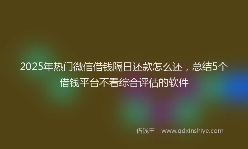 2025年热门微信借钱隔日还款怎么还，总结5个借钱平台不看综合评估的软件