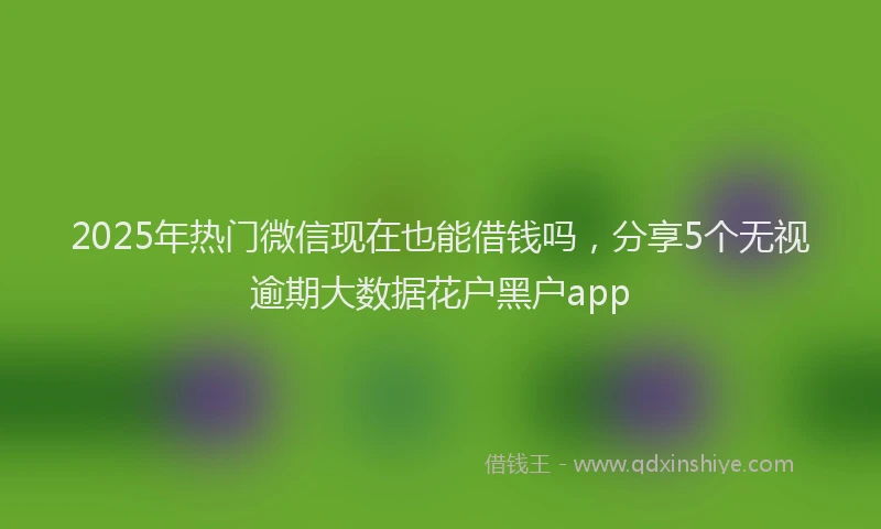 2025年热门微信现在也能借钱吗，分享5个无视逾期大数据花户黑户app