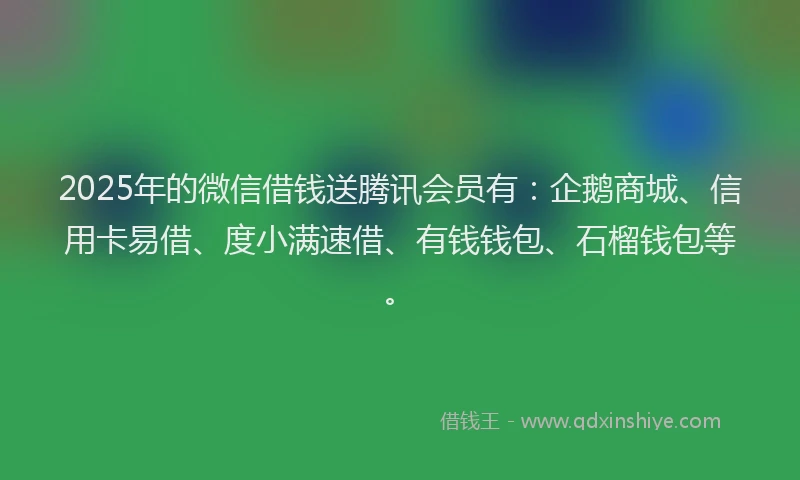 2025年的微信借钱送腾讯会员有：企鹅商城、信用卡易借、度小满速借、有钱钱包、石榴钱包等。