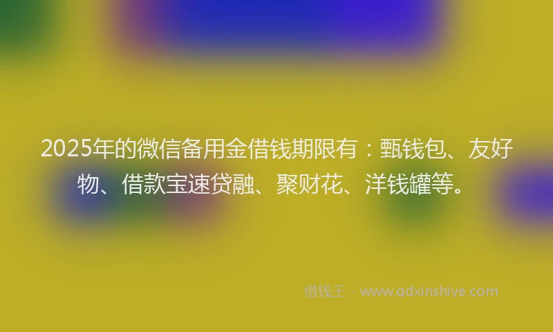 2025年的微信备用金借钱期限有：甄钱包、友好物、借款宝速贷融、聚财花、洋钱罐等。