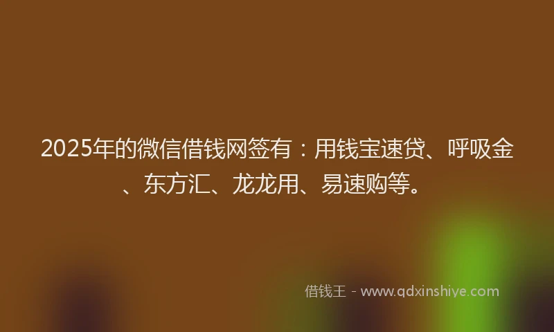 2025年的微信借钱网签有：用钱宝速贷、呼吸金、东方汇、龙龙用、易速购等。