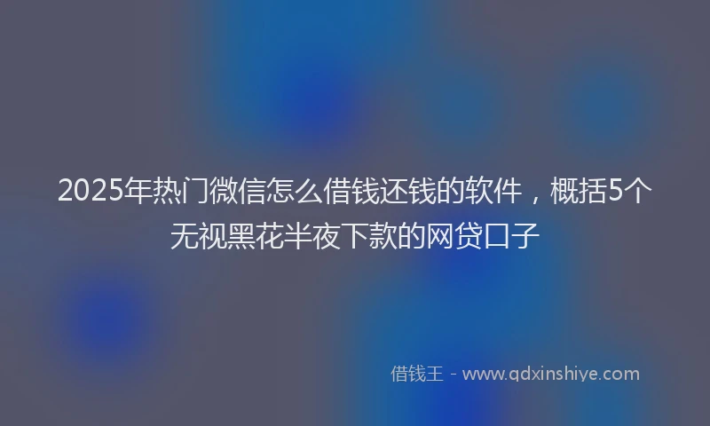 2025年热门微信怎么借钱还钱的软件，概括5个无视黑花半夜下款的网贷口子
