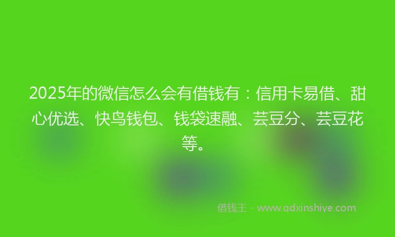 2025年的微信怎么会有借钱有：信用卡易借、甜心优选、快鸟钱包、钱袋速融、芸豆分、芸豆花等。