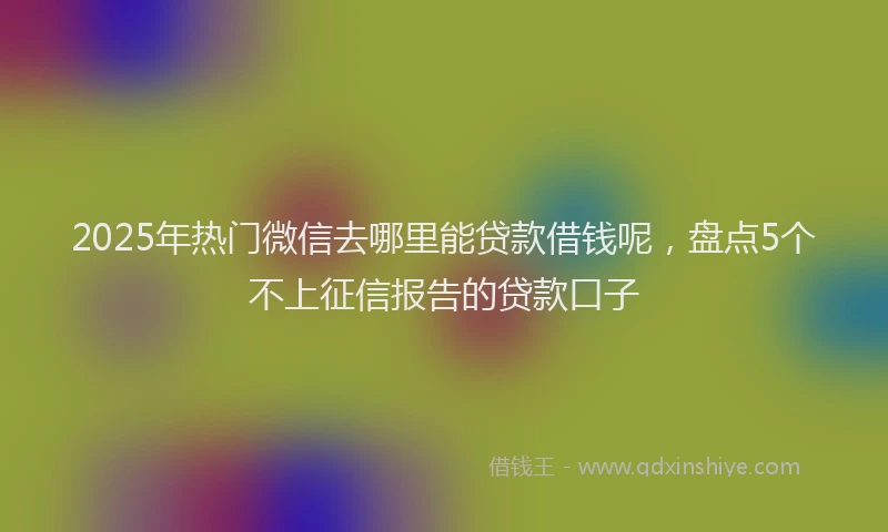2025年热门微信去哪里能贷款借钱呢，盘点5个不上征信报告的贷款口子