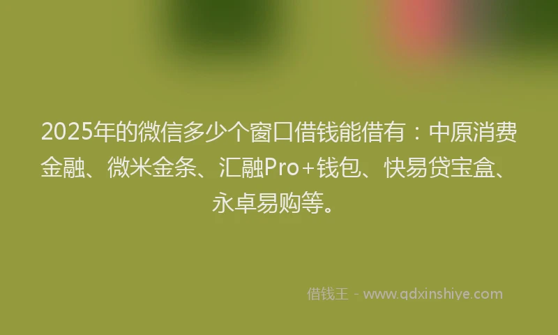 2025年的微信多少个窗口借钱能借有：中原消费金融、微米金条、汇融Pro+钱包、快易贷宝盒、永卓易购等。