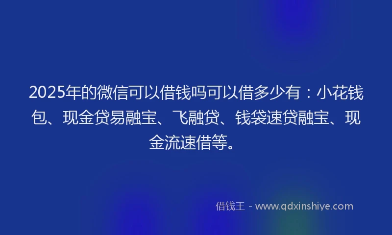 2025年的微信可以借钱吗可以借多少有：小花钱包、现金贷易融宝、飞融贷、钱袋速贷融宝、现金流速借等。