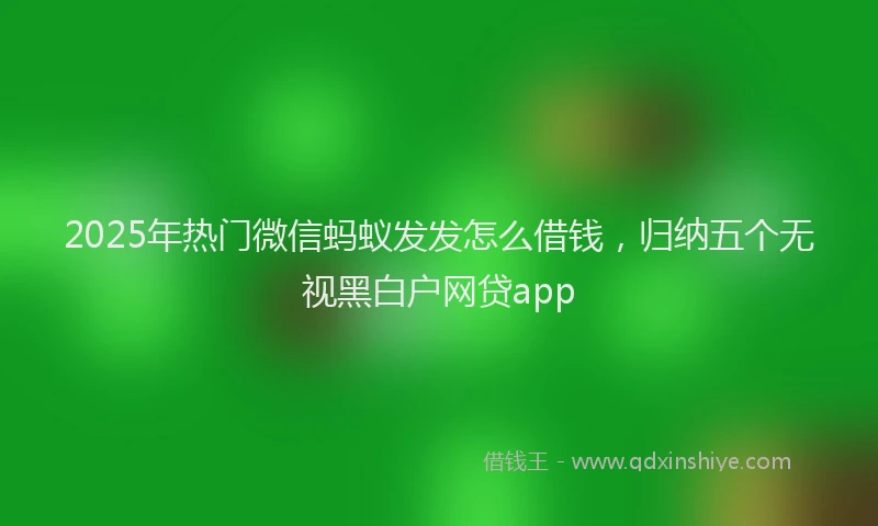 2025年热门微信蚂蚁发发怎么借钱，归纳五个无视黑白户网贷app
