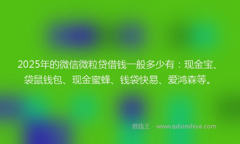 2025年的微信微粒贷借钱一般多少有：现金宝、袋鼠钱包、现金蜜蜂、钱袋快易、爱鸿森等。