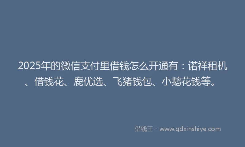 2025年的微信支付里借钱怎么开通有：诺祥租机、借钱花、鹿优选、飞猪钱包、小鹅花钱等。