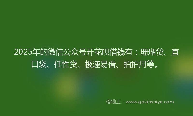 2025年的微信公众号开花呗借钱有：珊瑚贷、宜口袋、任性贷、极速易借、拍拍用等。