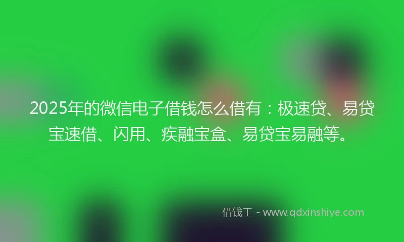 2025年的微信电子借钱怎么借有：极速贷、易贷宝速借、闪用、疾融宝盒、易贷宝易融等。