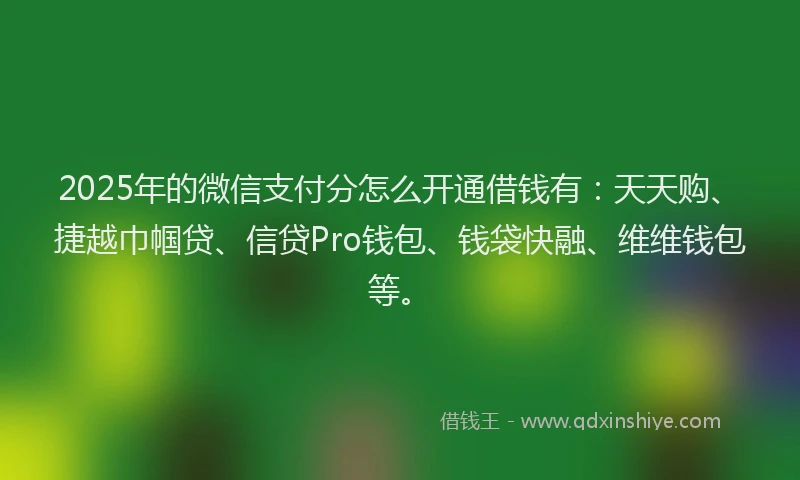 2025年的微信支付分怎么开通借钱有：天天购、捷越巾帼贷、信贷Pro钱包、钱袋快融、维维钱包等。