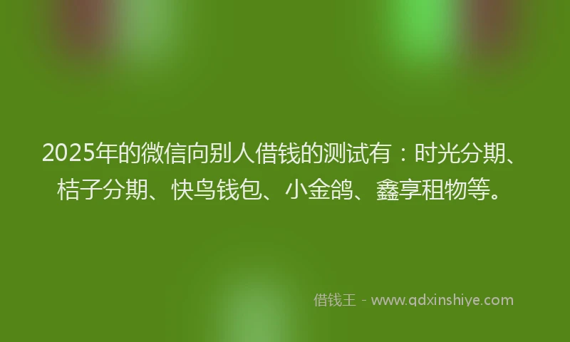 2025年的微信向别人借钱的测试有：时光分期、桔子分期、快鸟钱包、小金鸽、鑫享租物等。
