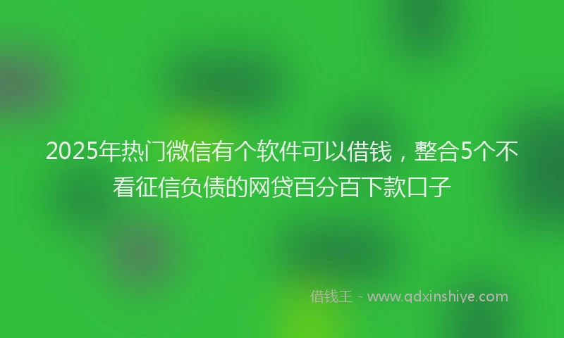 2025年热门微信有个软件可以借钱，整合5个不看征信负债的网贷百分百下款口子