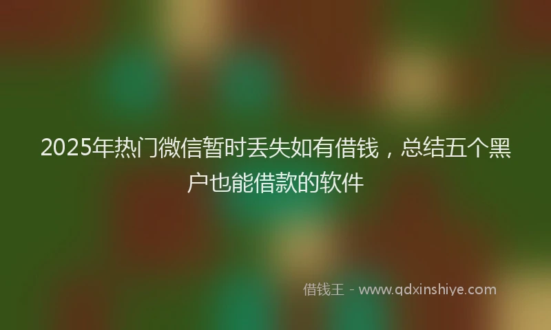2025年热门微信暂时丢失如有借钱，总结五个黑户也能借款的软件
