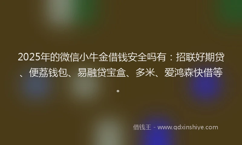 2025年的微信小牛金借钱安全吗有：招联好期贷、便荔钱包、易融贷宝盒、多米、爱鸿森快借等。