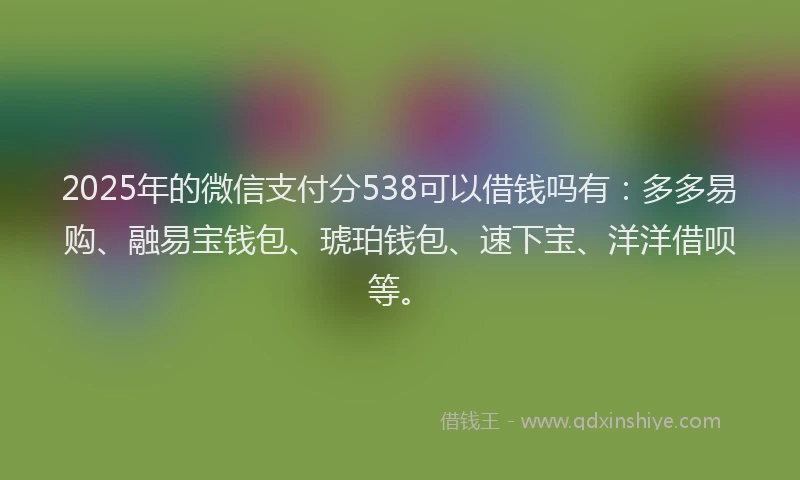 2025年的微信支付分538可以借钱吗有：多多易购、融易宝钱包、琥珀钱包、速下宝、洋洋借呗等。