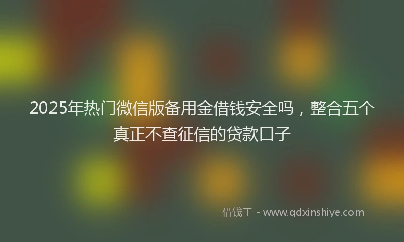 2025年热门微信版备用金借钱安全吗，整合五个真正不查征信的贷款口子