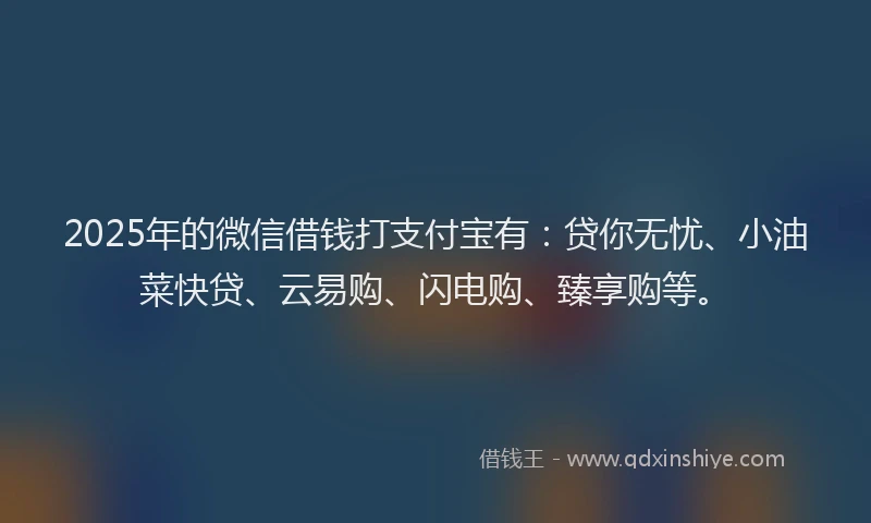 2025年的微信借钱打支付宝有：贷你无忧、小油菜快贷、云易购、闪电购、臻享购等。