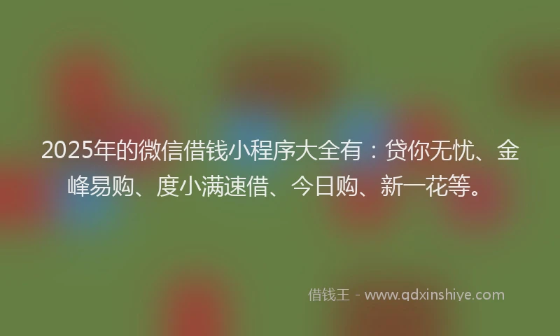 2025年的微信借钱小程序大全有：贷你无忧、金峰易购、度小满速借、今日购、新一花等。