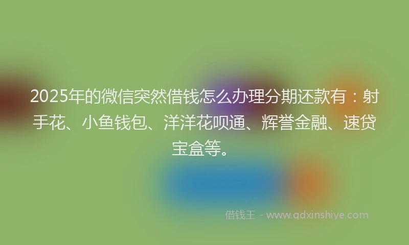 2025年的微信突然借钱怎么办理分期还款有：射手花、小鱼钱包、洋洋花呗通、辉誉金融、速贷宝盒等。
