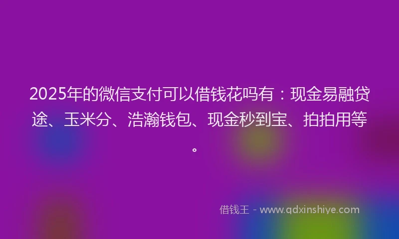 2025年的微信支付可以借钱花吗有：现金易融贷途、玉米分、浩瀚钱包、现金秒到宝、拍拍用等。