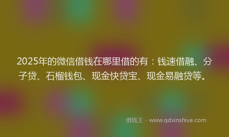 2025年的微信借钱在哪里借的有：钱速借融、分子贷、石榴钱包、现金快贷宝、现金易融贷等。