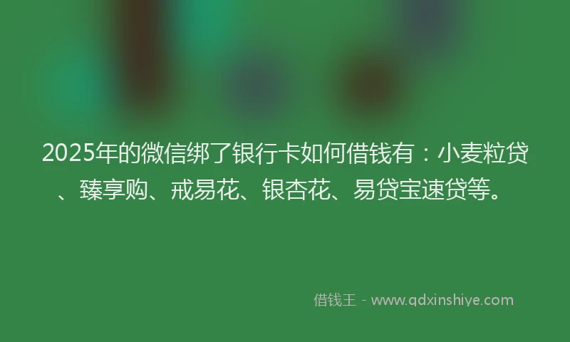 2025年的微信绑了银行卡如何借钱有：小麦粒贷、臻享购、戒易花、银杏花、易贷宝速贷等。