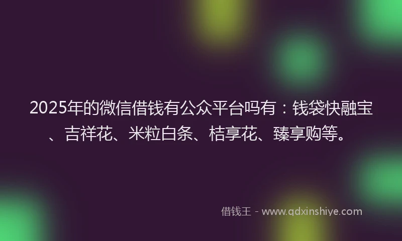 2025年的微信借钱有公众平台吗有：钱袋快融宝、吉祥花、米粒白条、桔享花、臻享购等。