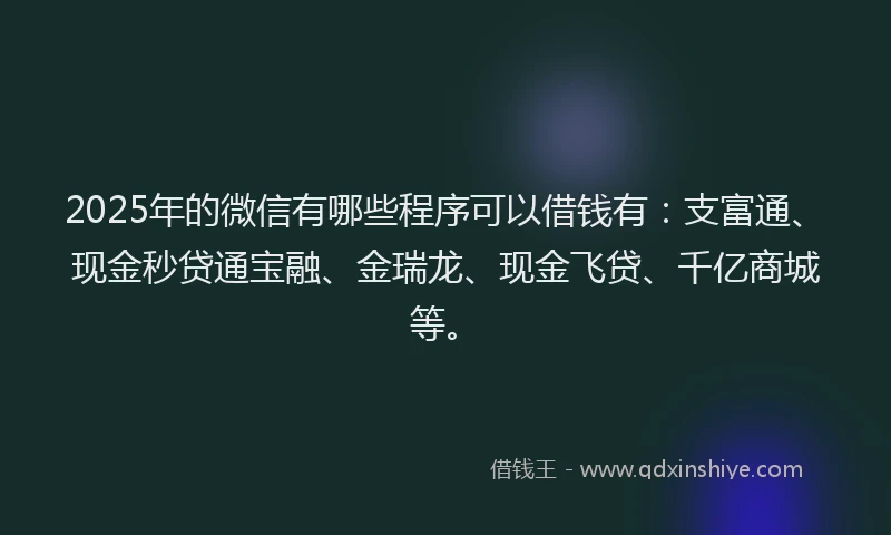 2025年的微信有哪些程序可以借钱有：支富通、现金秒贷通宝融、金瑞龙、现金飞贷、千亿商城等。
