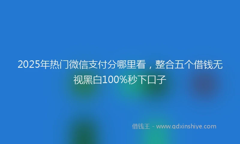 2025年热门微信支付分哪里看，整合五个借钱无视黑白100%秒下口子