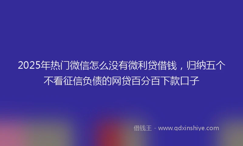 2025年热门微信怎么没有微利贷借钱，归纳五个不看征信负债的网贷百分百下款口子