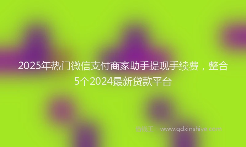 2025年热门微信支付商家助手提现手续费，整合5个2024最新贷款平台