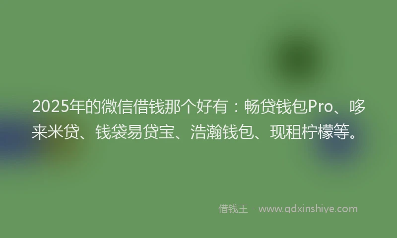 2025年的微信借钱那个好有：畅贷钱包Pro、哆来米贷、钱袋易贷宝、浩瀚钱包、现租柠檬等。