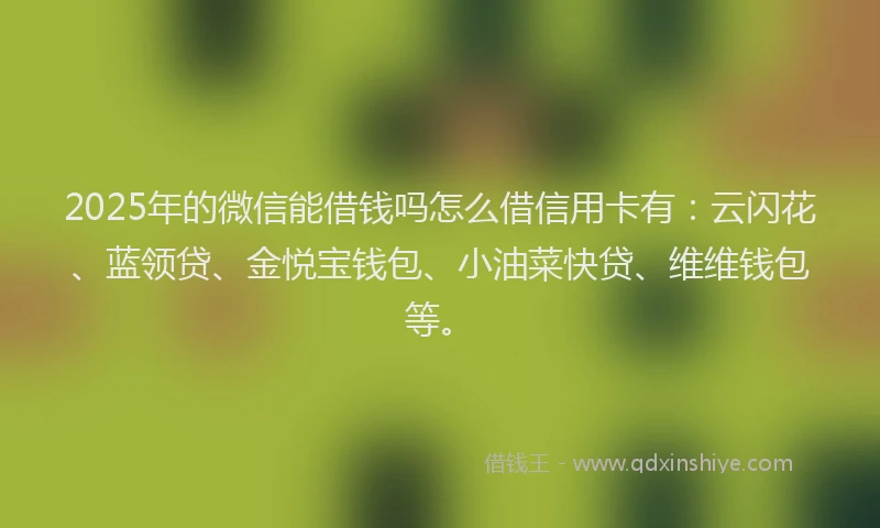 2025年的微信能借钱吗怎么借信用卡有：云闪花、蓝领贷、金悦宝钱包、小油菜快贷、维维钱包等。