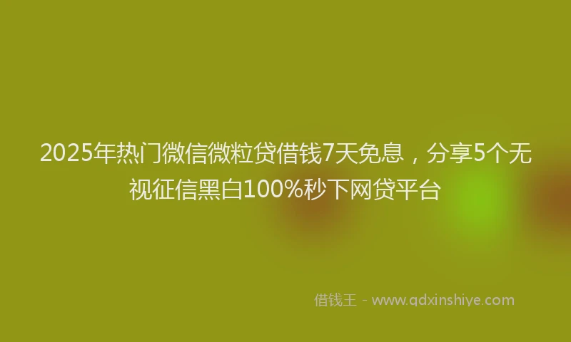 2025年热门微信微粒贷借钱7天免息，分享5个无视征信黑白100%秒下网贷平台