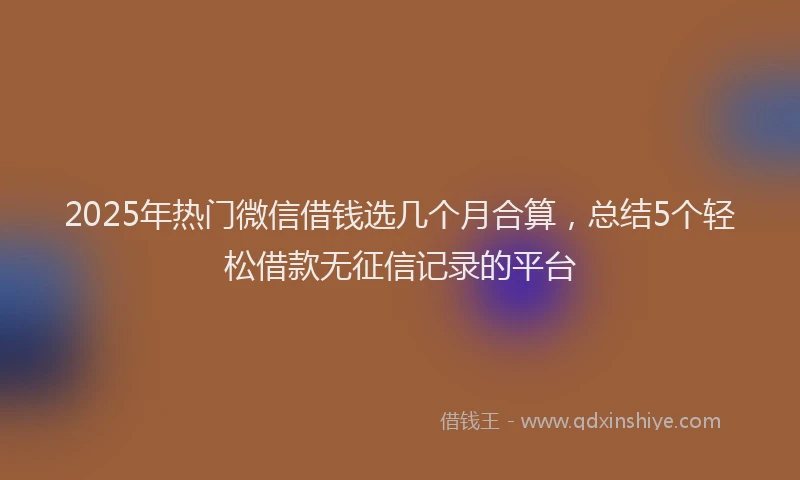 2025年热门微信借钱选几个月合算，总结5个轻松借款无征信记录的平台