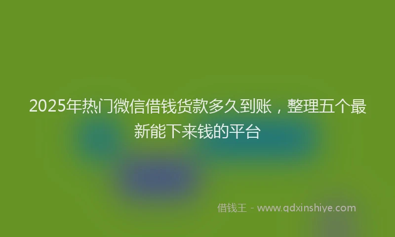 2025年热门微信借钱货款多久到账，整理五个最新能下来钱的平台