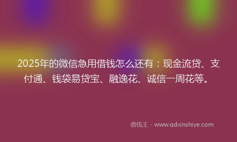 2025年的微信急用借钱怎么还有：现金流贷、支付通、钱袋易贷宝、融逸花、诚信一周花等。