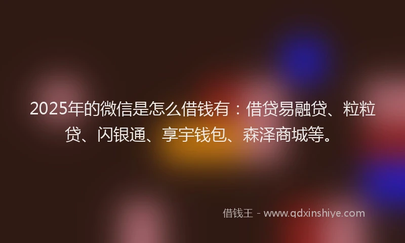 2025年的微信是怎么借钱有：借贷易融贷、粒粒贷、闪银通、享宇钱包、森泽商城等。