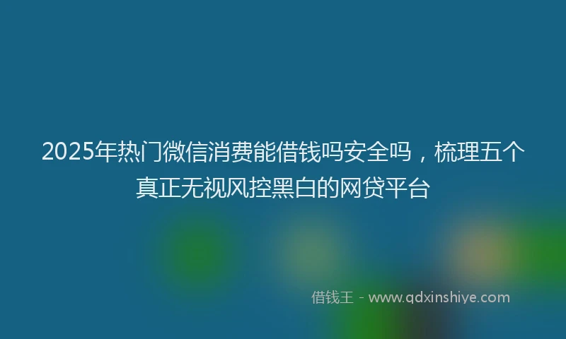 2025年热门微信消费能借钱吗安全吗，梳理五个真正无视风控黑白的网贷平台