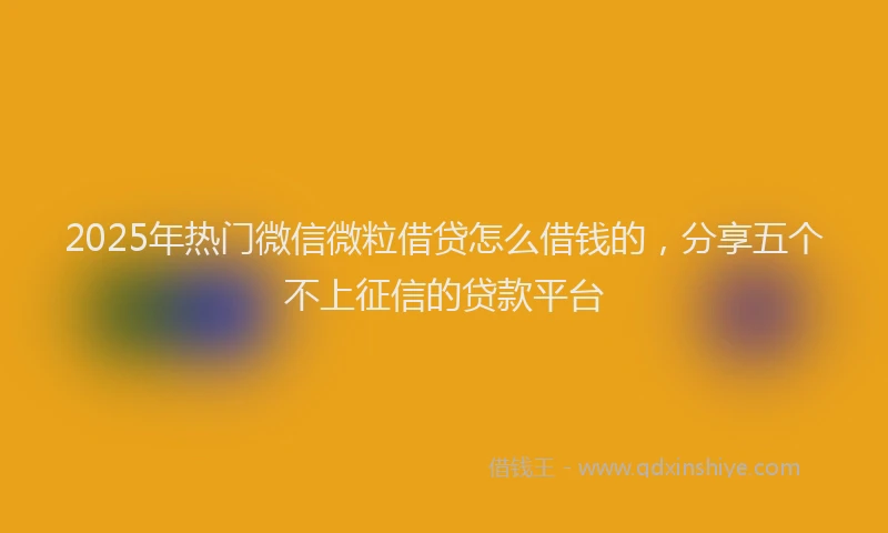 2025年热门微信微粒借贷怎么借钱的，分享五个不上征信的贷款平台