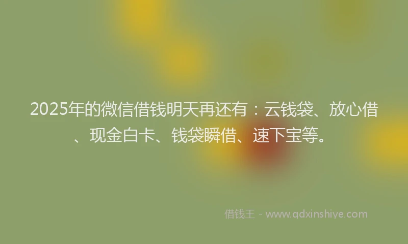 2025年的微信借钱明天再还有：云钱袋、放心借、现金白卡、钱袋瞬借、速下宝等。