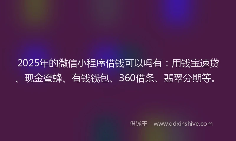 2025年的微信小程序借钱可以吗有：用钱宝速贷、现金蜜蜂、有钱钱包、360借条、翡翠分期等。