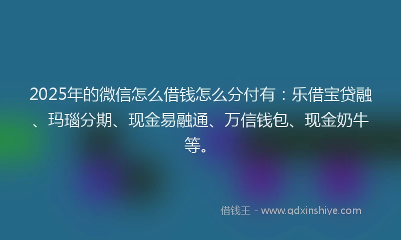 2025年的微信怎么借钱怎么分付有：乐借宝贷融、玛瑙分期、现金易融通、万信钱包、现金奶牛等。