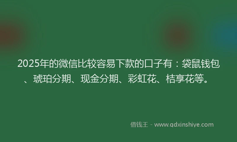 2025年的微信比较容易下款的口子有：袋鼠钱包、琥珀分期、现金分期、彩虹花、桔享花等。