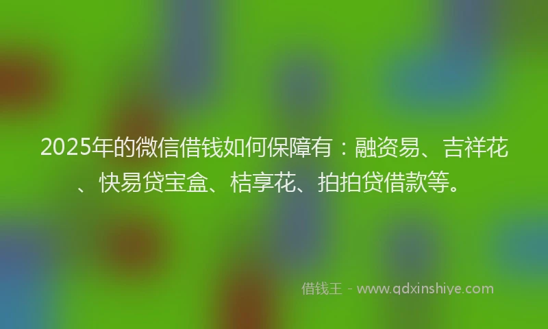 2025年的微信借钱如何保障有：融资易、吉祥花、快易贷宝盒、桔享花、拍拍贷借款等。